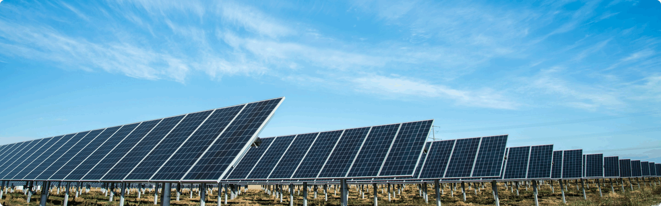 Property 1=Frame 3626